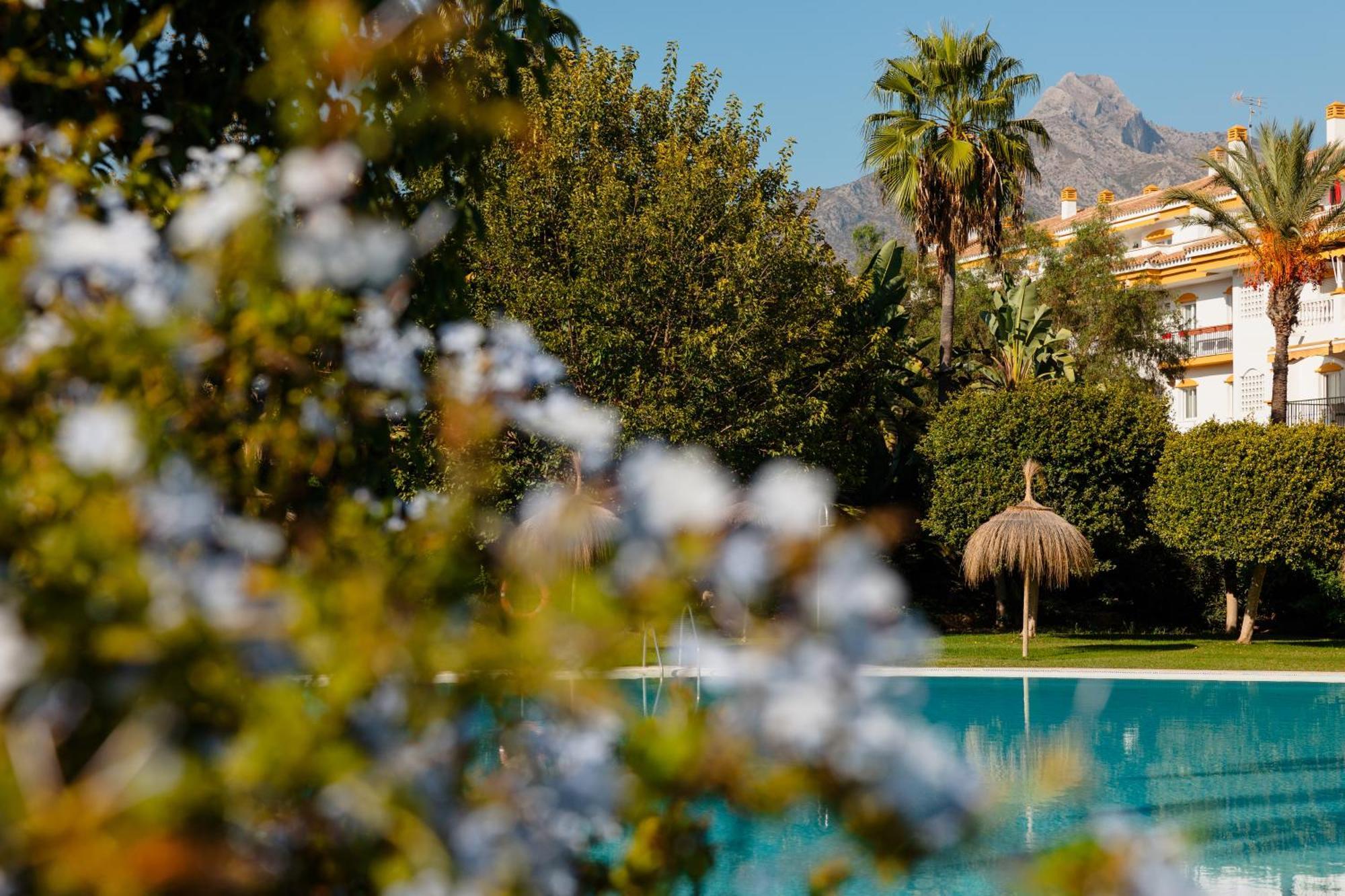 Ground Floor Holiday Apartment With Terrace And Pool In Puerto Banus, Marbella Ngoại thất bức ảnh